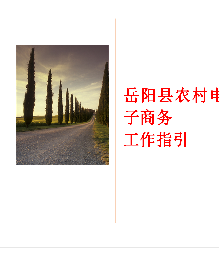 
岳阳县农村电子商务
工作指引
